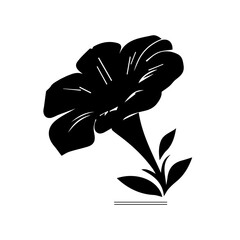 Petunia black and white flower