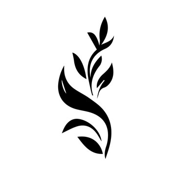 Petunia black and white flower