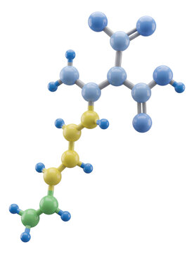Lysine amino acid model featuring a linear side chain and terminal amine group.
