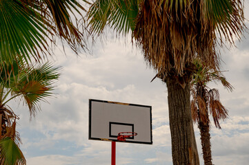 A basketball hoop and backboard stand firmly installed on an empty autumn beach between palm trees. 