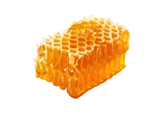 A close-up view of a golden honeycomb section, glistening against a stark black background