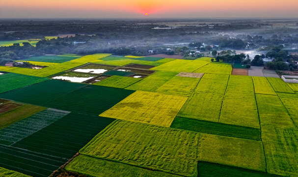Aerial view of lush green and yellow mustard fields stretching across rural India at sunset, capturing the patchwork of winter crops, irrigation ponds, and village landscapes under a calm evening sky