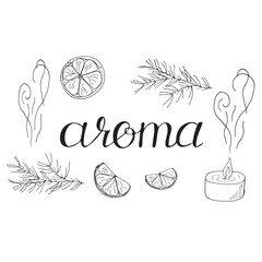 Aroma Set with Cedar Branches Citrus and Candle Line Art