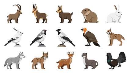 Fototapeta premium Collection of diverse wild animals and birds in their natural habitats.