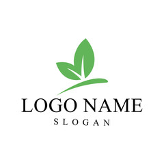 Butterfly Logo Vector