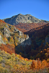 Autumn mountain landscape of the nature reserve Bulgaria National Park Central Balkan Mountains Stara Planina difficult terrain high cliffs steep ravines sunny day blue sky clouds autumn foliage color