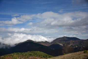 Fototapeta premium Mountain landscape peaks needles trees pines shrubs autumn foliage forest flora nature blue sky white cirrus and cumulus clouds