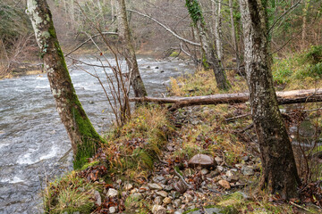 Right bank of the Irati River. Aezkoa Valley. Navarrese Pyrenees
