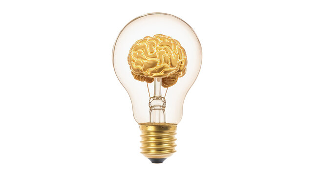 A light bulb with a brain inside of it, isolated on a transparent background