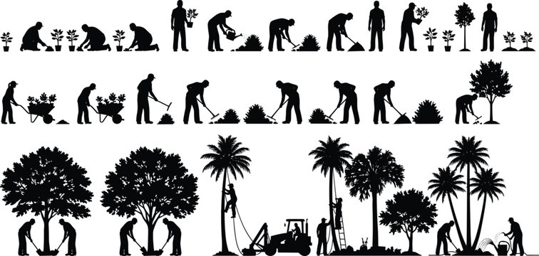 Silhouette set of gardeners planting trees, watering plants, using wheelbarrows, raking leaves, and professional landscaping maintenance workers on white background.