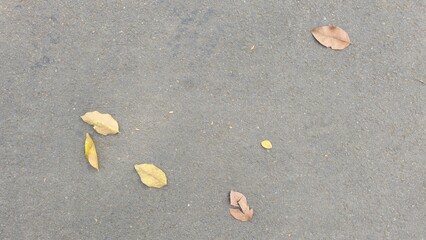 The road surface is dark grey with fallen leaves. The road surface of the parking lot has a rough texture. Texture and background images. Sidewalk, footpath, walkway, surface material.