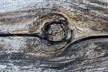 old wood texture