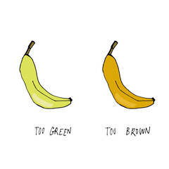 Too green. Too brown. Hand drawn banana vector illustration in a simple, artistic style. Cute tropical fruit drawing suitable for food design, healthy lifestyle concepts, packaging, stickers, 