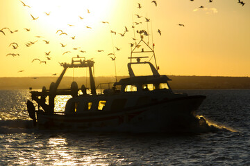 Fishing Boat returning to the Port of Santa Pola town at sunset