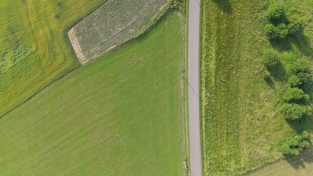 Aerial top down view of a car moving along a narrow road bordering cultivated fields and green vegetation forming clear linear patterns under bright daylight
