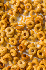 Healthy Multi Grain Breakfast Cereal