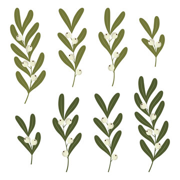 Set of various branches of mistletoe with white berries in green colours on a clean white background. Flat vector illustration for holiday decorations, holiday printing, New Year greeting cards or oth