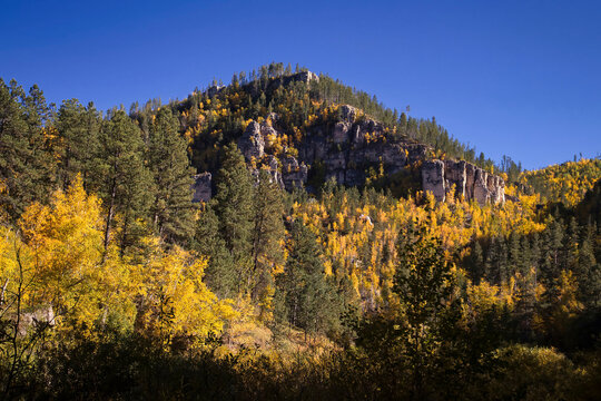 Spearfish Canyon in autumn