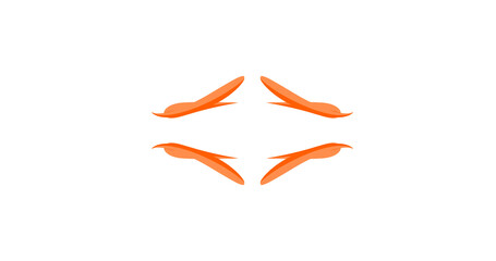 Vibrant orange birds in flight on black background