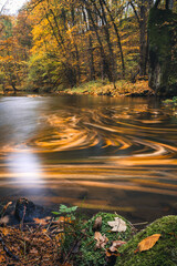 Gebirgsbach ind er S&auml;chsischen Schweiz im Herbst als Langzeitbelichtung