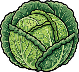 Obraz premium Cabbage colorful illustration isolated on transparent background 
