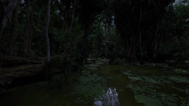 predawn wetland emerging into soft light with mist lifting over shallow pools and gentle reflections, pale glow reveals roots, sedge and moisture as ecosystem