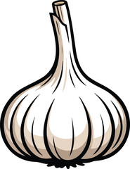 Garlic bulb colorful illustration isolated on transparent background