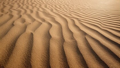 Sand Texture Background