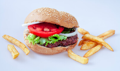 hamburger with french fries
