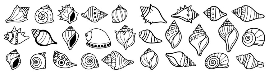 Seashell doodle icon set Hand drawn sea shell collection for summer design