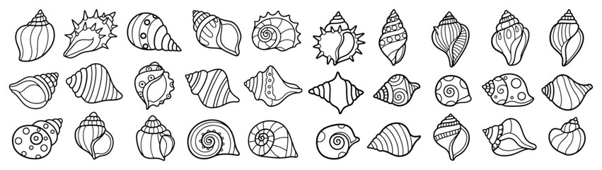 Sea shell line art icon set Various decorative ocean seashell collection © Aisha Kudorova