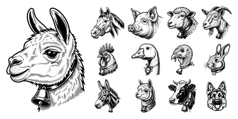 Fototapeta premium Set of farm and domestic animal head vector sketch icons hand drawn vintage engraving illustration collection