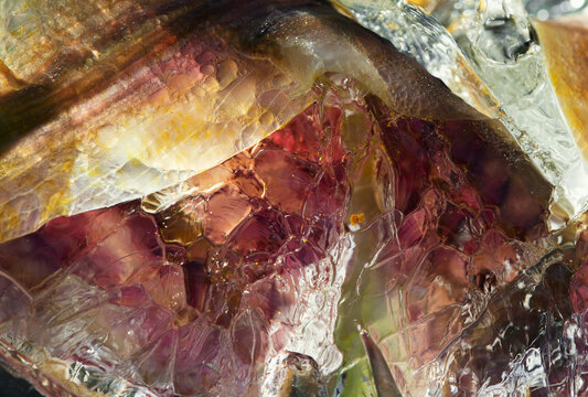 Colorful petals of flowers are frozen in ice cubes, beautiful and abstract image. The ice cubes are stacked, flowers are visible through the clear ice