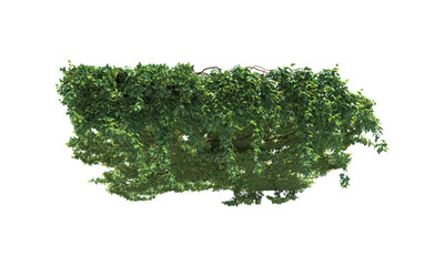 Landscaping for a pergola without a pergola foliage trailing plant alpha channel