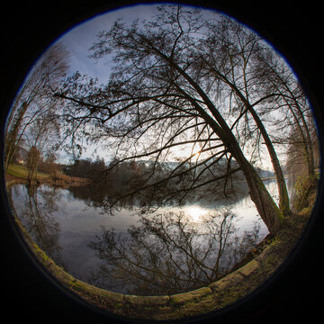 Trees on the lakeshore in deep sunlight,  in a park shot with a fisheye circular lens 180 degrees creating a circle image