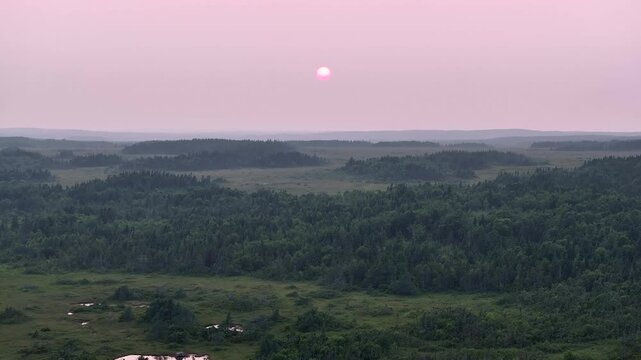 Newfoundland Wilderness