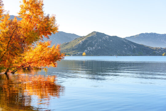 Vibrant Autumn Foliage Over Lake Perris