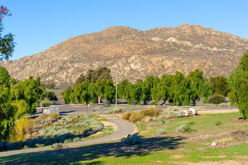 Arid Mountain and Verdant Foliage at Lake Perris