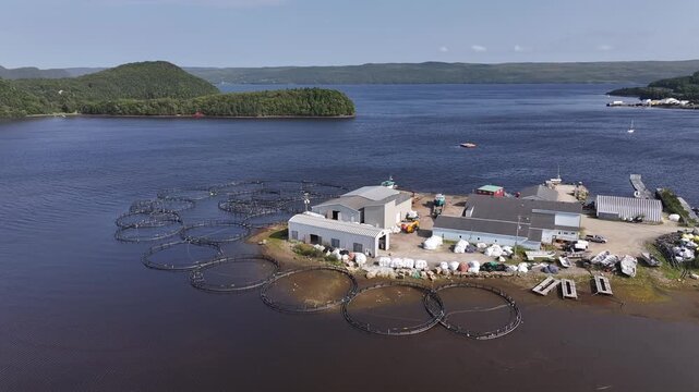 Fish farm manufacturing at St Alban's, Newfoundland