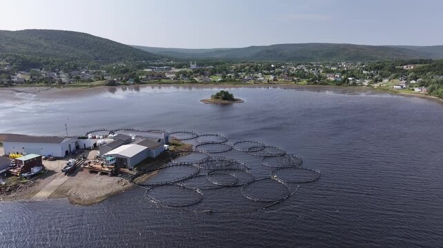 Fish farm manufacturing at St Alban's, Newfoundland