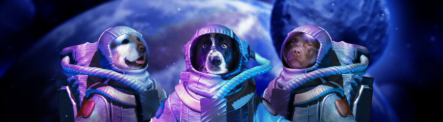 Team of astronaut dogs against planet and celestial body in space. Banner design
