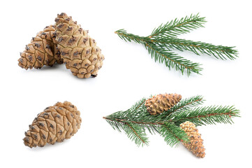 Obraz premium Fir tree branches and cones isolated on white, set