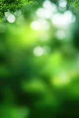 Obraz premium Lush green nature background with sunlight and foliage bokeh effects