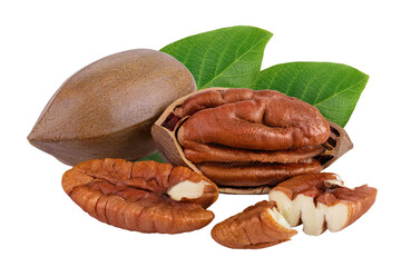 broken pecan nut isolated on white background with full depth of field
