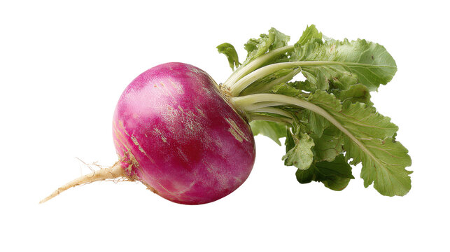 Fresh whole turnip with green leaves, organic root vegetable harvest concept showcasing natural produce, healthy nutrition and farm freshness isolated on black background