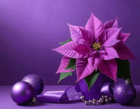Elegant purple poinsettia flower with Christmas ornaments on dark violet background