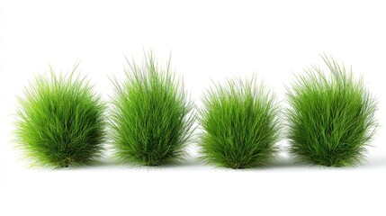 Four clumps of vibrant, fluffy green grass isolated on a clean white background, showcasing texture and detail