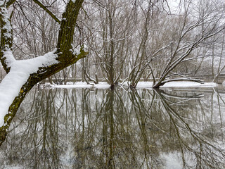 Winter Flood in Forest with Bare Tree Reflections in Water. High quality photo