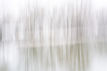 Abstract Winter Forest Motion Blur - Vertical Lines. High quality photo