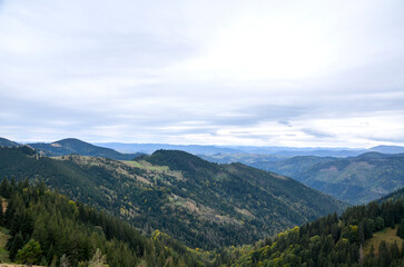 Expansive view of mountain valleys lined with evergreen forests and scattered meadows. Soft clouds drift over the ridges, conveying tranquility in a serene highland landscape. Carpathian Mountains
